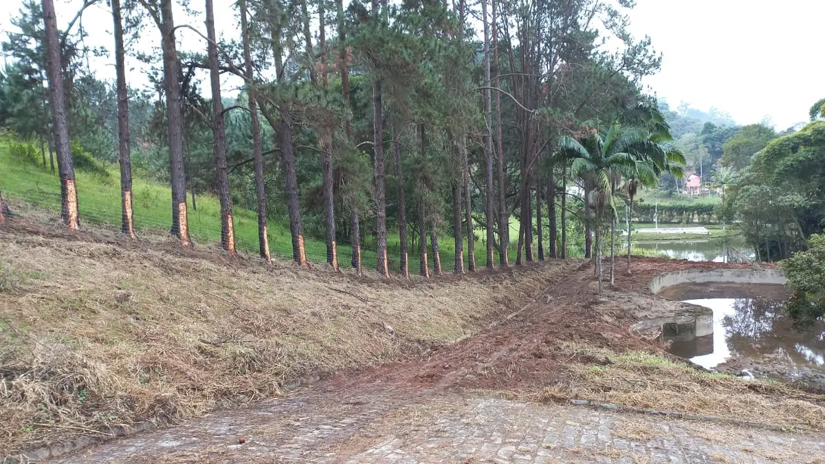 Área em Vargem Grande Paulista, Raposo Tavares km 43 — foto 4 de 13