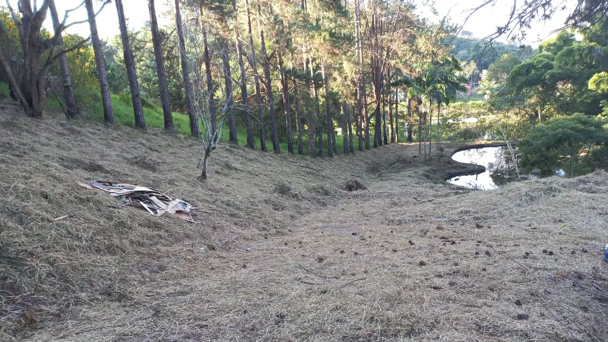 Área em Vargem Grande Paulista, Raposo Tavares km 43 — foto 6 de 13
